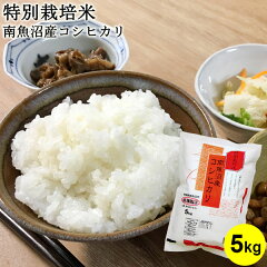 https://thumbnail.image.rakuten.co.jp/@0_mall/niigata-rice/cabinet/items/main/uo/20405005.jpg