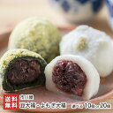 豆大福・よもぎ大福 選べる 10個入り or 20個入り 市川屋 和菓子 新潟県産こがねもち 北海道産小豆 つぶあん 国産青豆 笹川流れの塩 村上市岩船産ヨモギ...