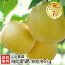 家庭用!土田農園の日本梨 新潟県産 新高 5kg(6〜9玉)...
