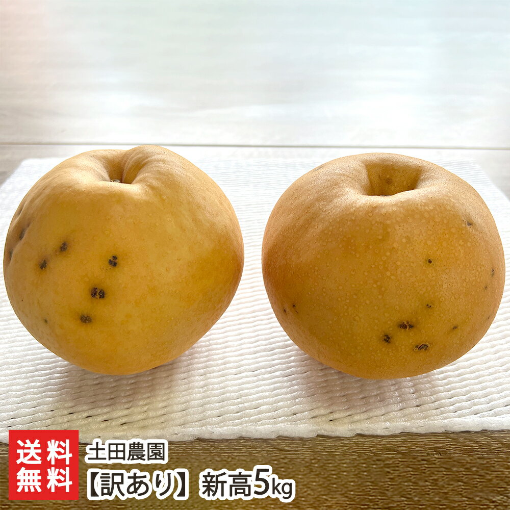 【訳あり】新高5kg 土田農園 【新潟直送計画/フルーツ/なし/ナシ/和梨/エコファーマー認定/ジューシー/にいたか/ニイタカ】【お土産/手土産/プレゼント/ギ...