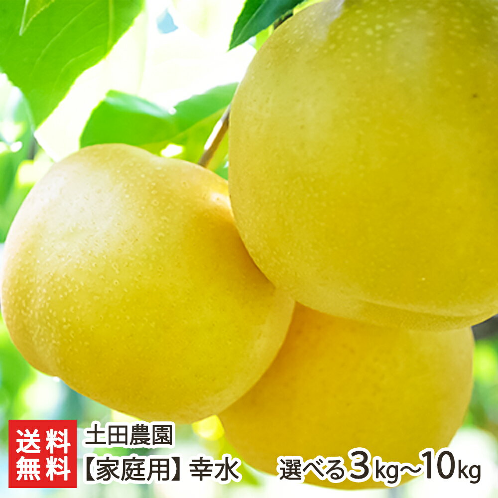 【家庭用】土田農園の日本梨 新潟県産 幸水「3kg」or「5kg」or「10kg」【8月中旬頃から順次発送】【幸水梨】【新潟県産梨/なし/ナシ/和梨】【送料無料】 父の日 お中元