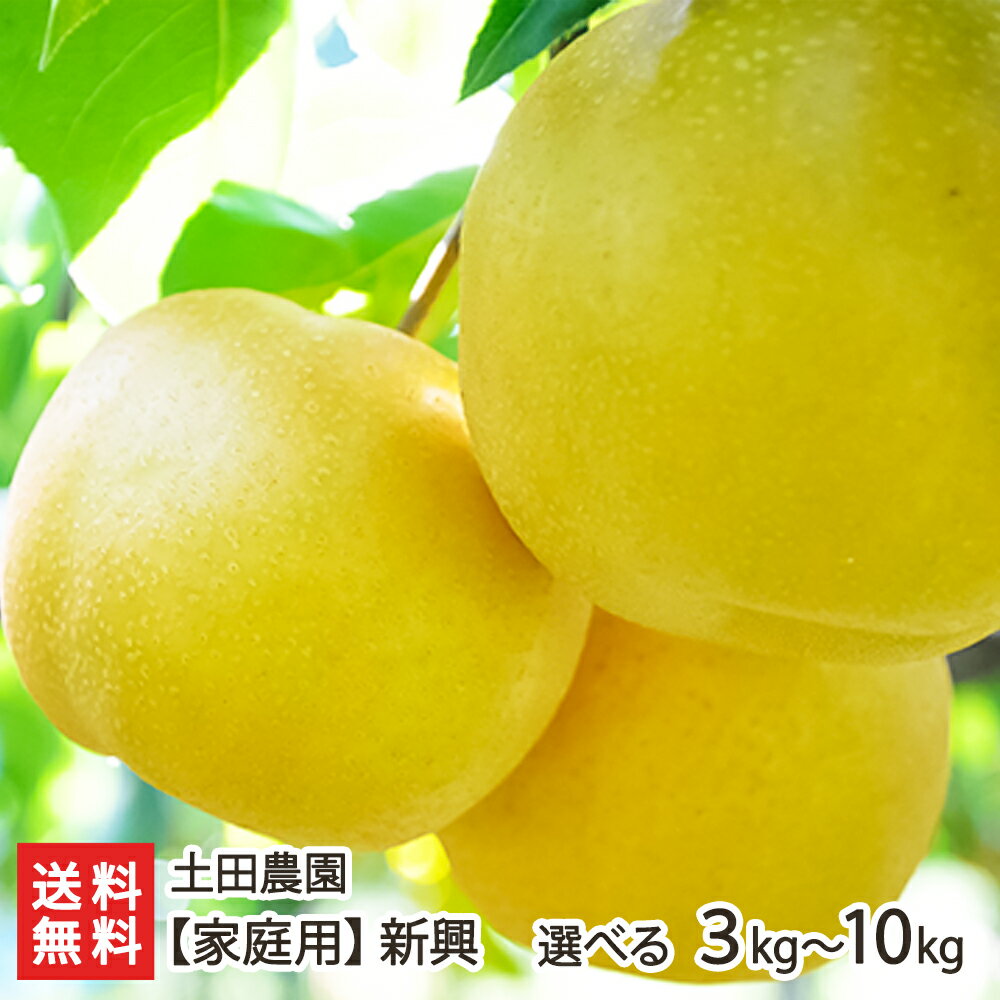 【家庭用】土田農園の日本梨 新潟県産 「3kg」or「5kg」or「10kg」【新興梨】【新潟県産梨/なし/ナシ/和梨】【送料無料】 父の日 お中元