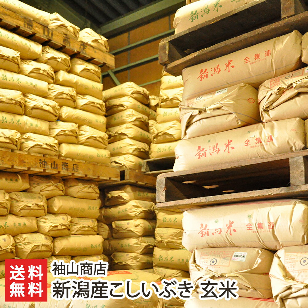 【令和7年度新米】 減農薬・減化学肥料 新潟産 こしいぶき 玄米 2kg 5kg 10kg 20kg 袖山商店【新潟産コシイブキ】【お土産/手土産/プレ..