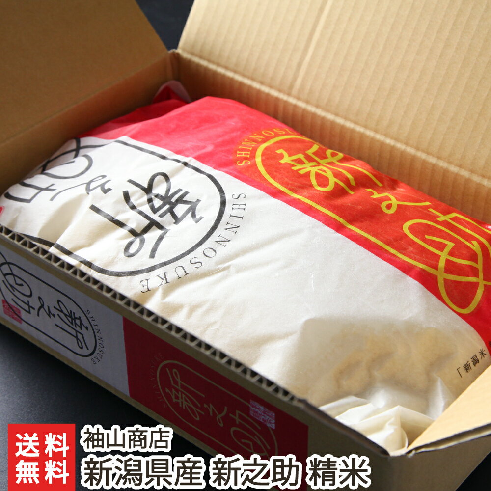 【令和7年度新米】新