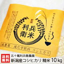 【令和元年度米】新潟産 炊きあがりが楽しみになるコシヒカリ ...
