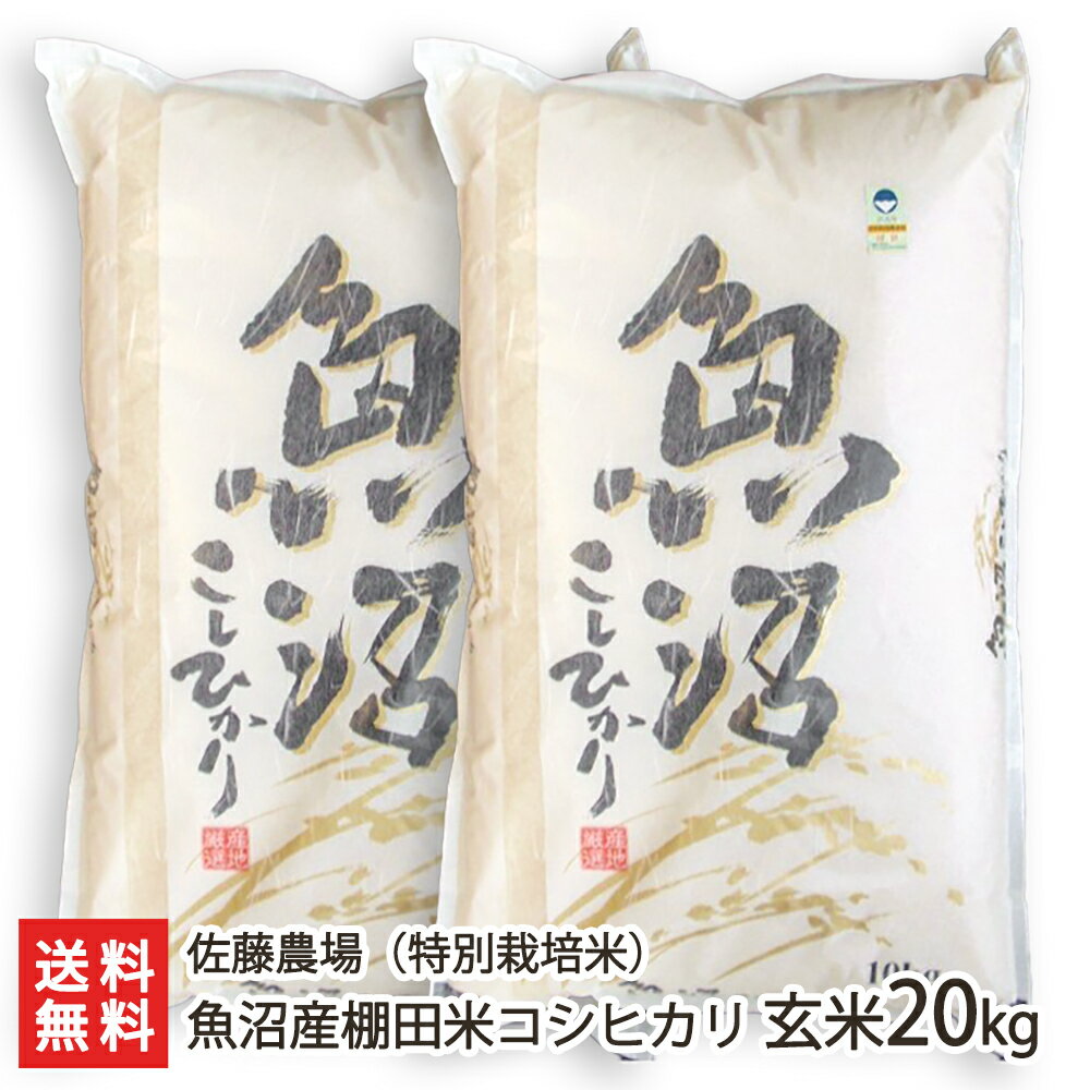 超高品質で人気の 新潟コシヒカリ 20kg 新潟県産コシヒカリ 新潟県
