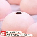 赤飯まんじゅう10個入りセット 綾子舞本舗タカハシ【子供のおやつに◎饅頭/お土産】【お土産/手土産/プレゼント/ギフトに！贈り物】【送料無料】