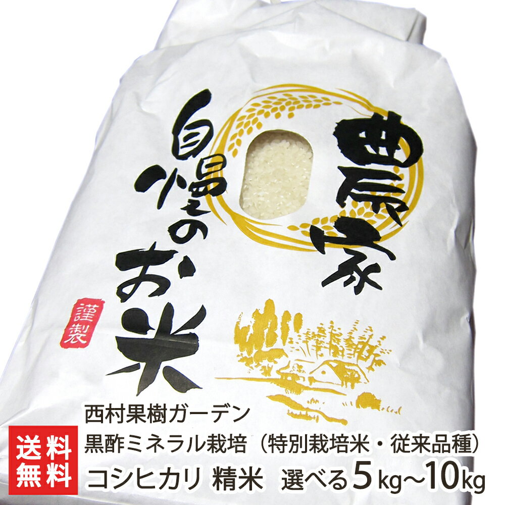 【令和5年度米】特別栽培米（減農薬・減化学肥料）従来品種 新潟産 黒酢ミネラルコシヒカリ精米 西村果樹ガーデン【幻のこしひかり/非BL/従来種/従来型/幻のコシヒカリ/クラシックコシヒカリ/白米】【お土産/手土産/プレゼント/ギフトに！贈り物】【送料無料】