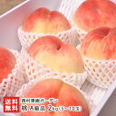 桃 A級品 2kg(5~10玉) 西村果樹ガーデン もも 白桃 ピーチ 果物 フルーツ 黒酢ミネラル栽培 黒酢 減農薬 ヨーグルト 新潟県 生産者直送 お取り寄せ ギフト プレゼント 贈り物 送料無料