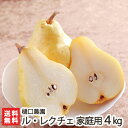 家庭用 新潟産ル・レクチェ4kg(9〜12個)樋口農園【フル...