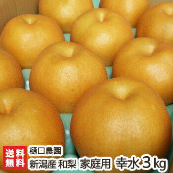 家庭用 幸水3kg（6〜9個入り） 樋口農園 新潟県産 産地直送 送料無料【新潟直送計画 和梨 なし ナシ こうすい お取り寄せ フルーツ 訳ありお中元ギフトにも！