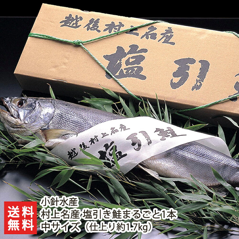 村上名産 塩引き鮭まるごと1本 中サイズ（仕上り約1.7kg