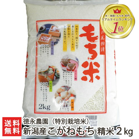 【令和元年度米】新潟県産 こがねもち（特別栽培米）精米2kg 徳永農園 もち米【新潟産コガネモチ・お餅や赤飯に最適の餅米！】【贈り物・内祝いに！のし（熨斗）無料】【送料無料】