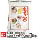 【令和元年度米】新潟県産 こがねもち（特別栽培米）精米10kg（5kg×2）徳永農園 もち米【新潟産コガネモチ・お餅や赤飯に最適の餅米！】【贈り物・内祝いに！のし（熨斗）無料】【送料無料】