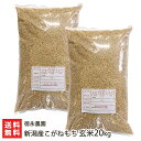 【令和元年度新米】新潟県産 こがねもち（特別栽培米）玄米20kg（10kg×2）徳永農園 もち米【新潟産コガネモチ・お餅や赤飯に最適の餅米！/玄米もち米】【お歳暮・贈り物・内祝いに！のし（熨斗）無料】【送料無料】