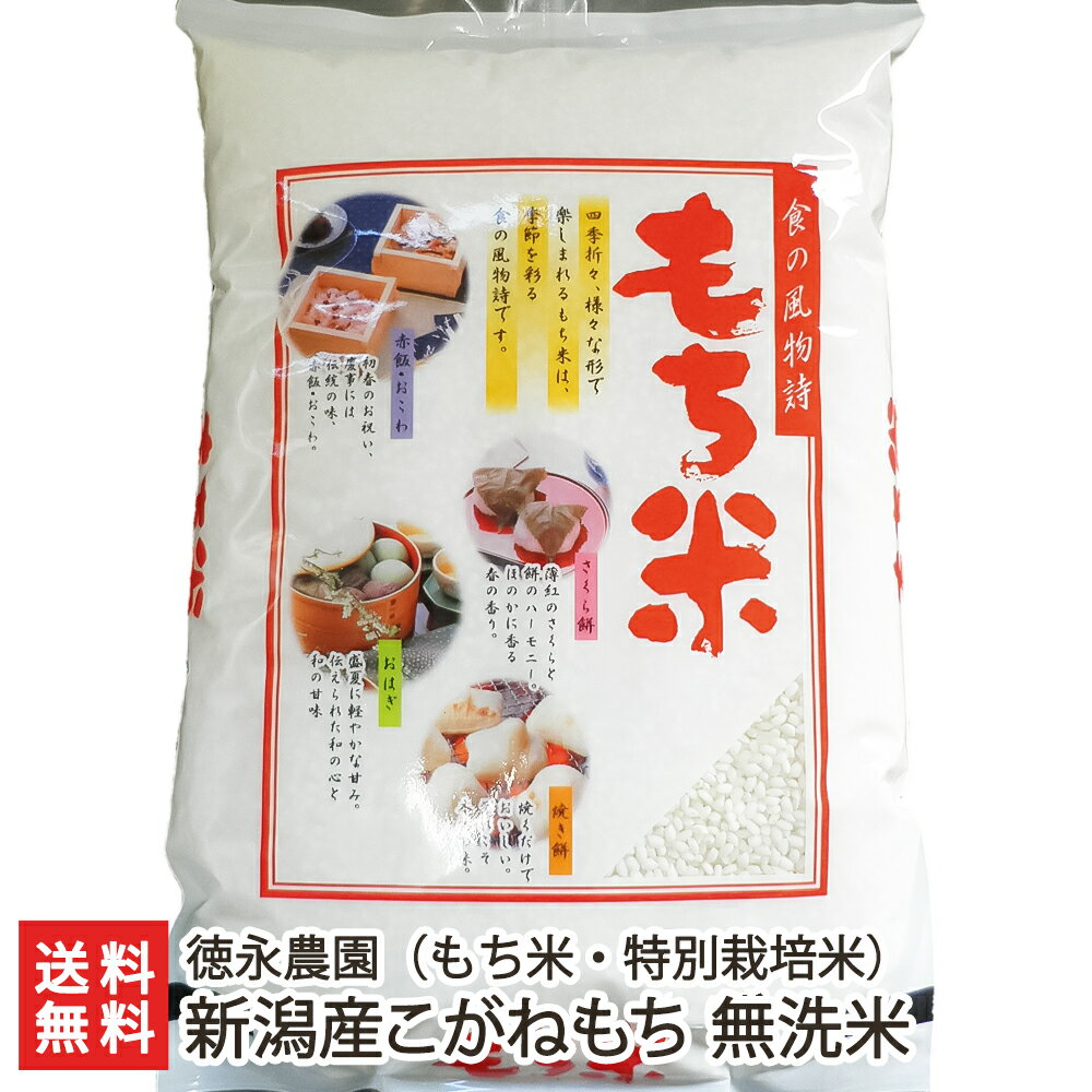 【令和5年度米】新潟県産 こがねもち 特別栽培米 無洗米 2kg or 5kg or 10kg or 20kg 徳永農園 もち米【新潟産コガネモチ・お餅や赤飯に最適の餅米 】【お土産/手土産/プレゼント/ギフトに 贈…