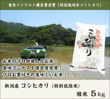 【令和元年度米】新潟県産 特別栽培米コシヒカリ 精米5kg 徳永農園【新潟産こしひかり/白米】【お中元に！贈り物・内祝いに！のし（熨斗）無料】【送料無料】