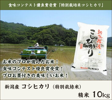 【令和元年度米】新潟県産 特別栽培米コシヒカリ 精米10kg（5kg×2） 徳永農園【新潟産こしひかり/白米】【お中元に！贈り物・内祝いに！のし（熨斗）無料】【送料無料】