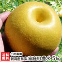 訳あり！新潟 小野農園の日本梨 家庭用 豊水 5kg（10～14玉）【豊水梨】【送料無料】