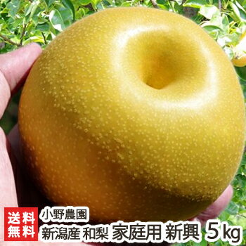 ꡪ    5kg714̡ˡڿ̵ۡ