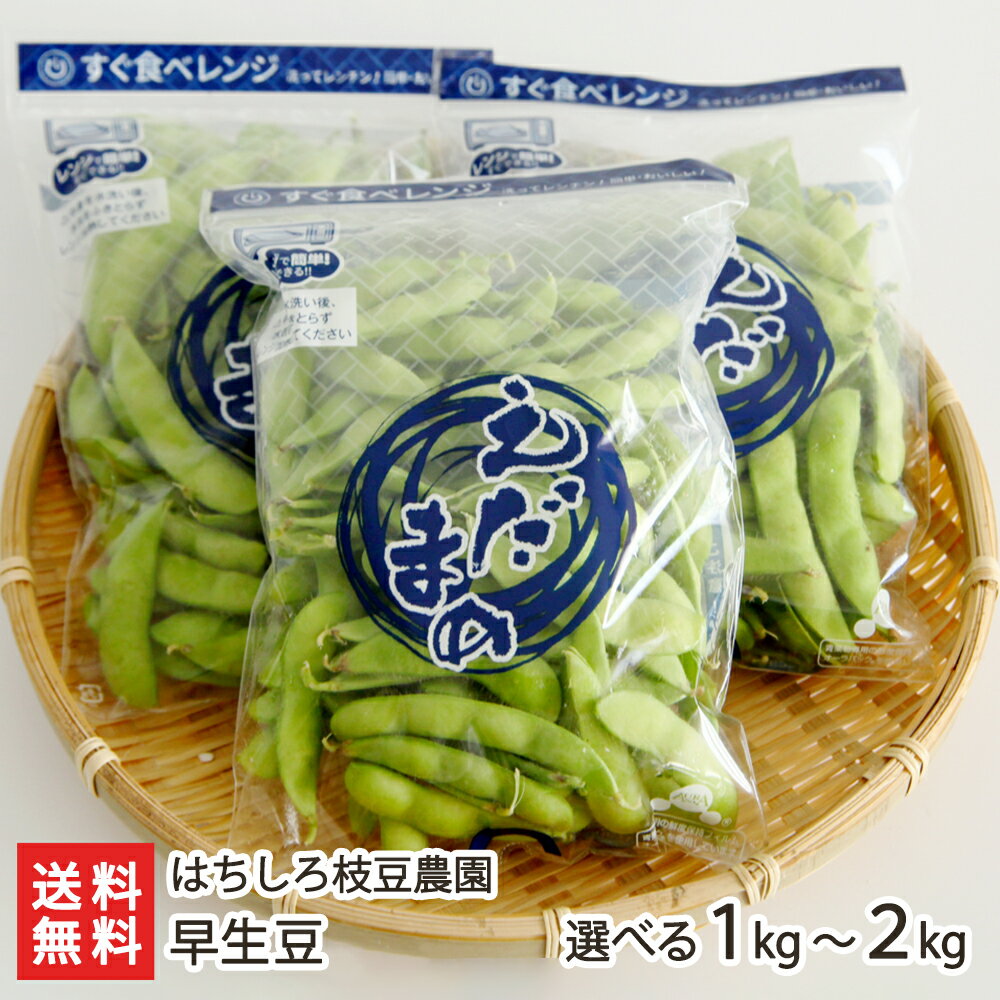 冷凍枝豆 国産 北海道産 JA中札内村 そのまま黒えだ豆 300g×5 冷凍食品 冷凍野菜