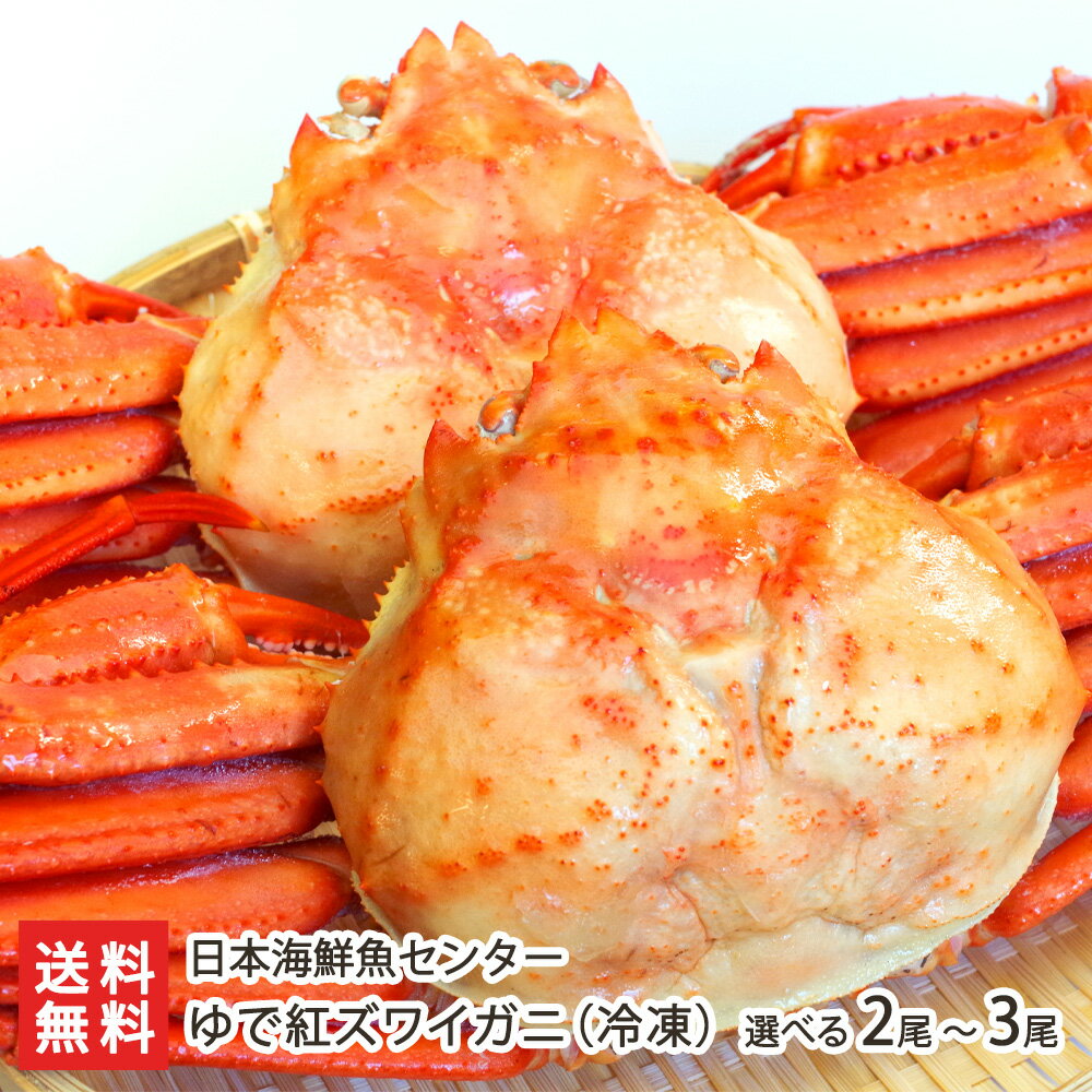 ǻʻ̣ǹȥ磻٤21.4kgˏ31.8kgܳ󥿡Ĥ᤿®¸ˤ襤˿㸩ľ󤻥եȥץ쥼£ʪ̵