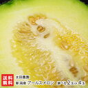 新潟産 アールスメロン 「2玉」or「4玉」 情熱野菜の太田農園 【新潟県産/新潟直送計画/フルーツ/めろん/高級/王様/上品/みずみずしい/なめらか/濃厚/盆...