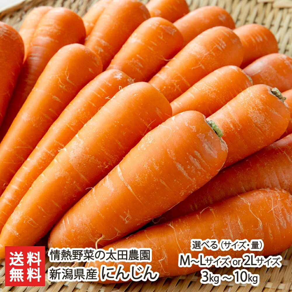 新潟県産 にんじん「M～Lサイズ or 2Lサイズ」・「3kg ～ 10kg」情熱野菜の太田農園【新潟直送計画/新潟県産/生産者直送/人参/ニンジン/生食/野菜スティック/バター炒め/砂丘地】【送料無料】