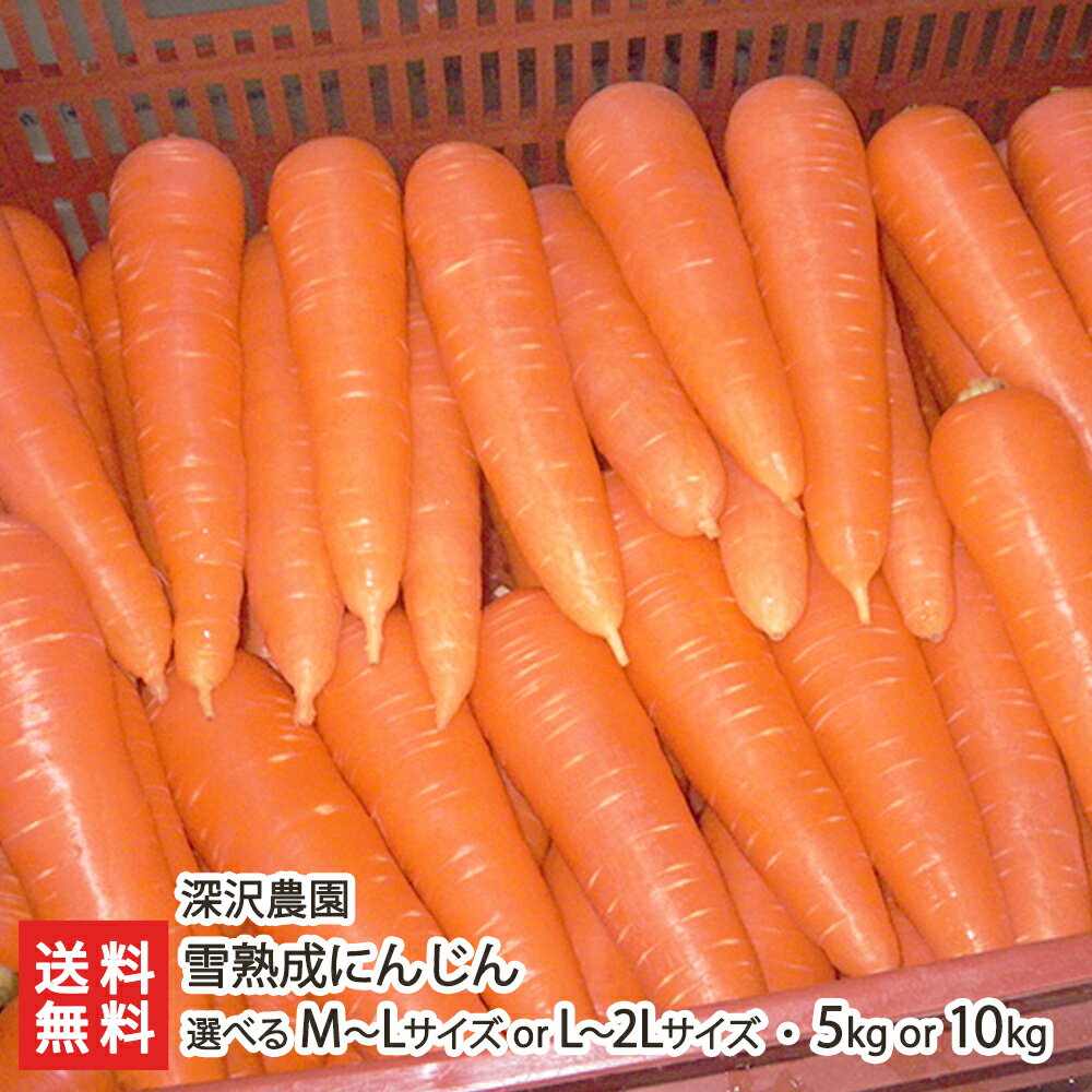 雪熟成にんじん（L~2Lサイズ）5kg 深沢農園 【新潟/魚沼産/人参/ニンジン/雪の下人参/雪の下にんじん】【お土産/手土産/ギフトに！贈り物】【送料無料】 父の日 お中元のサムネイル