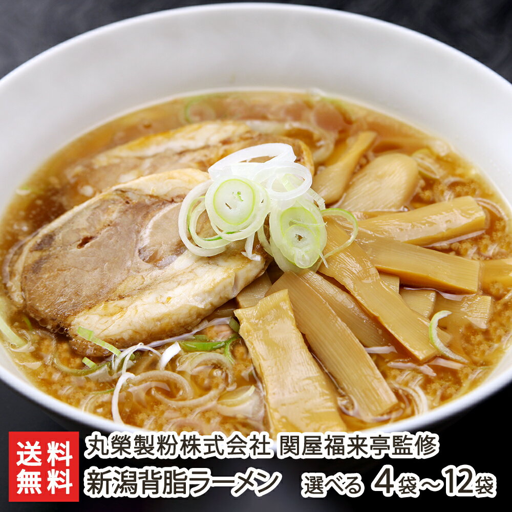 新潟 関屋福来亭監修 背脂醤油ラーメン（スープ付）「4袋」or「12袋」 丸榮製粉株式会社 父の日 お中元