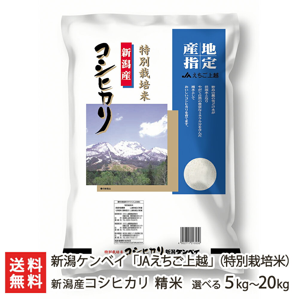 【令和5年度米】新潟産コシヒカリ「JAえちご上越」精米「5kg」or「10kg」or「20kg」 特別栽培米 新潟ケンベイ【新潟産こしひかり】【お土産/手土産/プレゼント/ギフトに！贈り物】【送料無料】