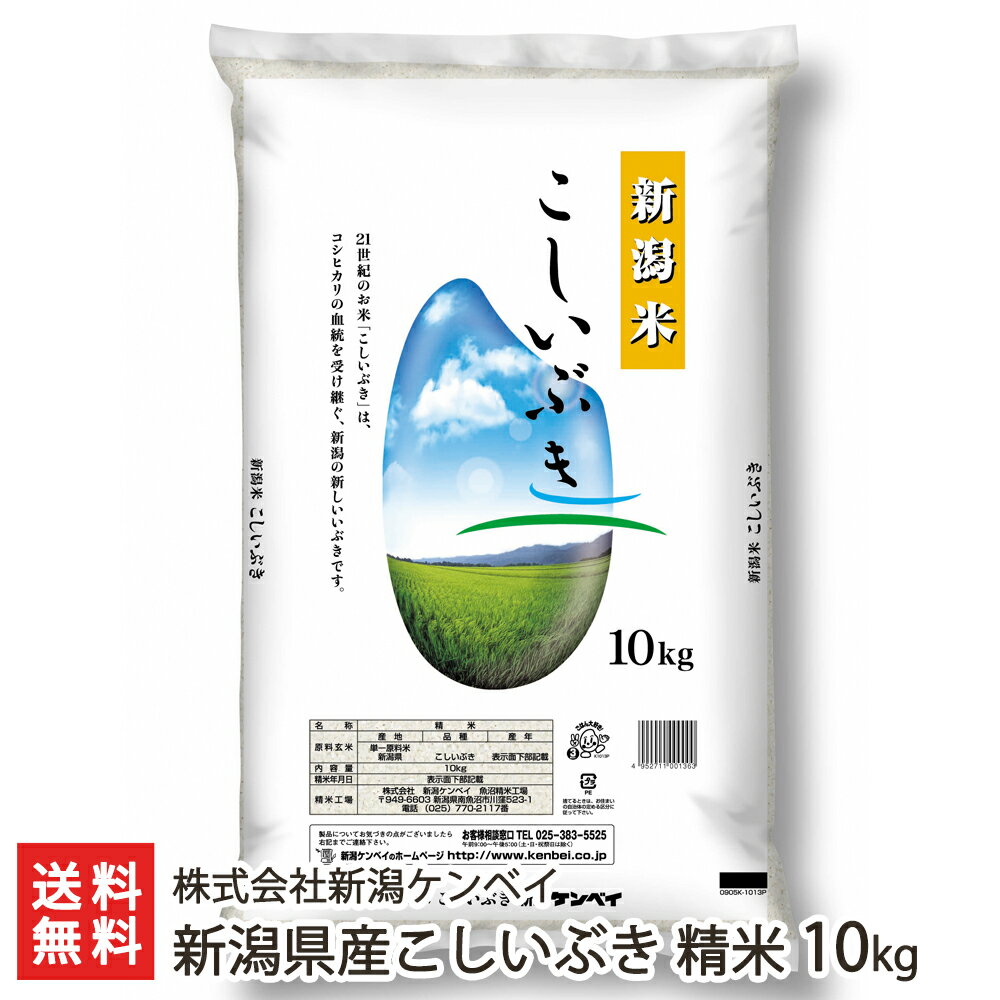 【令和5年度米】新潟産 こしいぶき 精米10kg 新潟ケンベイ【新潟産コシイブキ】【お土産/手土産/プレゼント/ギフトに！贈り物】【送料..