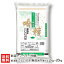 【令和5年度米】新潟産こしいぶき 無洗米「吟精」 選べる2kg～20kg 新潟ケンベイ【新潟産コシイブキ/無洗米5kg】【お土産/手土産/プレゼント/ギフトに！贈り物】【送料無料】