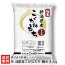 【令和元年度米】新潟産こがねもち 10kg（1kg袋×10） 新潟ケンベイ【コガネモチ/もち米】【お歳暮・贈り物・内祝いに！のし（熨斗）無料】【送料無料】