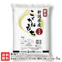 【令和5年度米】新潟産こがねもち 「1kg」or「5kg」 新潟ケンベイ【コガネモチ/もち米】【お土産/手土産/プレゼント/ギフトに！贈り物】【送料無料】 1