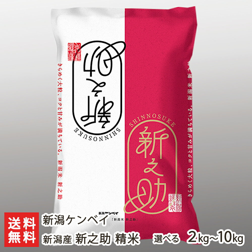 新潟県産 新之助 精米 「2kg」or「5kg」or「10kg」 新潟ケンベイ