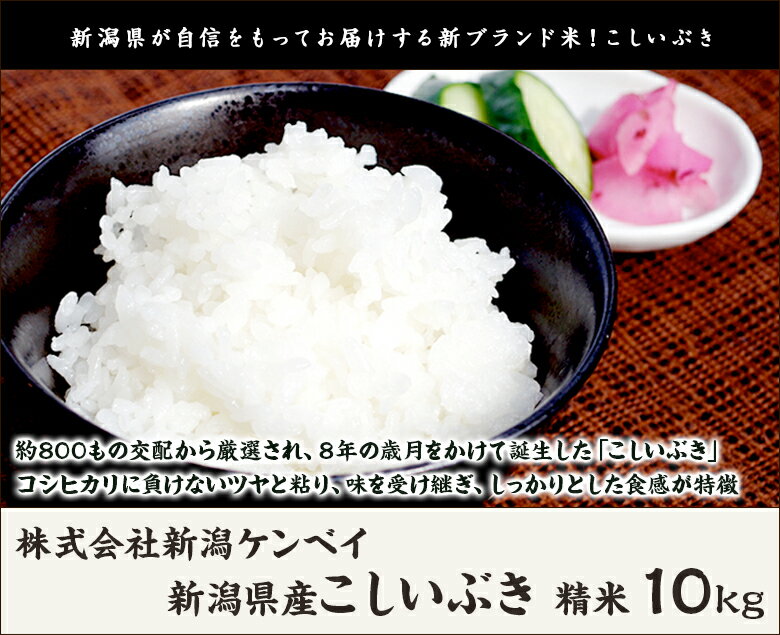 【令和5年度米】新潟産 こしいぶき 精米10k...の紹介画像2