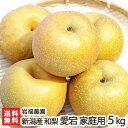 新潟産 岩福農園の日本梨 家庭用 愛宕 5kg（5〜9玉）【愛宕梨】【送料無料】