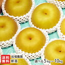 新潟産 岩福農園の日本梨 新高「5kg」or「10kg」or「特大玉 2玉入」or「特大玉 6kg」 ...