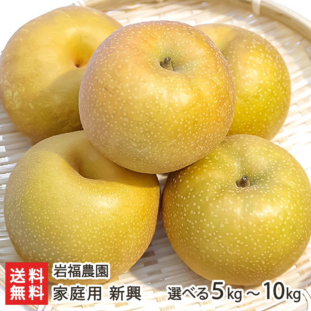 新潟産 岩福農園の日本梨 家庭用 新興 「5kg」or「10kg」【新興梨】【送料無料】 父の日 お中元