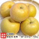 新潟産 岩福農園の日本梨 家庭用 新興 「5kg」or「10kg」【新興梨】【送料無料】