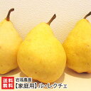 ※順次発送中※【家庭用】洋梨 ルレクチェ「2kg」or「3kg」or「4kg」岩福農園【ル・レクチェ ...