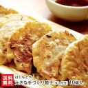 新潟 はしもとやの大きな手づくり餃子（タレ付き）10個入り【餃子/ぎょうざ/ギョウザ/ギョーザ】【手作り/中華/焼き餃子】【送料無料】