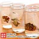 楽天新潟直送計画　楽天市場店SAKETO SASA・SUNDAY 3spices mix set 2箱（180ml×6本・スパイスミックス6袋入）笹祝酒造 新潟県産 酒蔵直送【日本酒 清酒 淡麗 亀の尾】【お土産/手土産/プレゼント/ギフトに！贈り物】【送料無料】