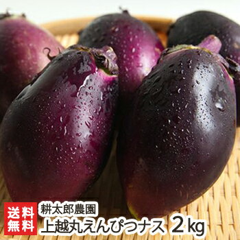 新潟産 上越丸えんぴつナス 2kg（10個入）耕太郎農園【茄子/なす/野菜/鮮度抜群/新鮮/採れたて/焼いても、揚げても、煮ても美味しい絶品のナス】【送料無料】