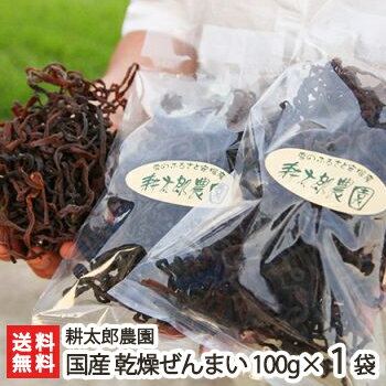 新潟産 天然乾燥ぜんまい 100g（1袋）耕太郎農園【山菜/薇/ゼンマイ】【送料無料】 父の日 お中元