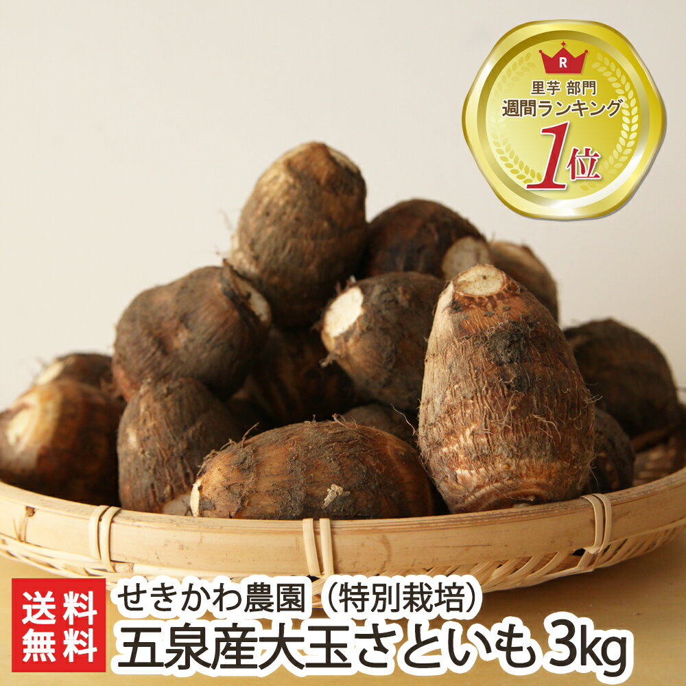 さといも 新潟五泉産 大玉 里芋（特別栽培）3kg せきかわ農園 【里芋/サトイモ/減農薬栽培/2L ...