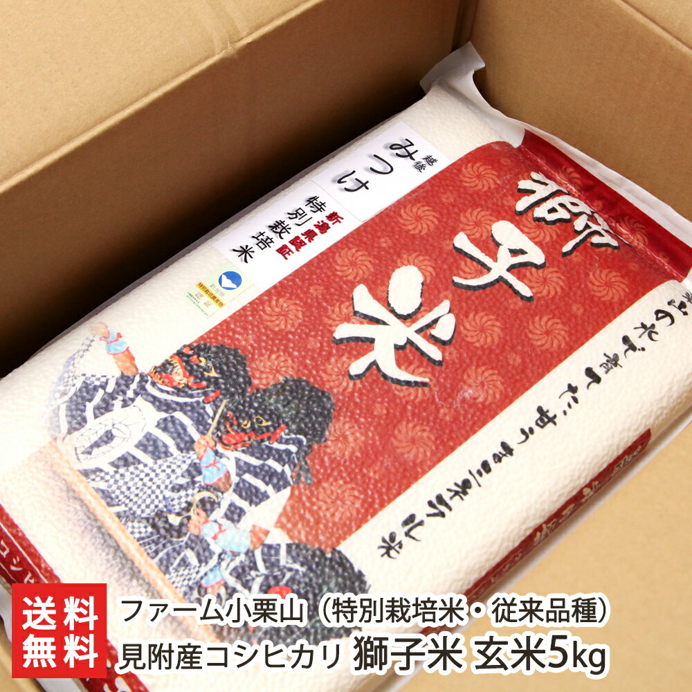 【令和5年度米】特別栽培米（減農薬・減化学肥料）新潟産コシヒカリ 獅子米（従来品種）玄米5kg（鷹の爪入り） ファーム小栗山 新潟県産/こしひかり】【お土産/手土産/プレゼント/ギフトに！贈り物】【送料無料】