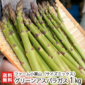 新潟産 グリーンアスパラガス サイズミックス（普通～極太サイズの混合）1kg ファーム小栗山【野菜/採れたて/太いアスパラガス/縦箱/冷..