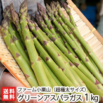 新潟産 グリーンアスパラガス 超極太サイズ 1kgあたり12～15本程度 1kg ファーム小栗山【野菜/採れたて/太いアスパラガス/縦箱/冷蔵便】【送料無料】